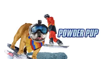 Задник к фильму "Powder Pup" #1040246