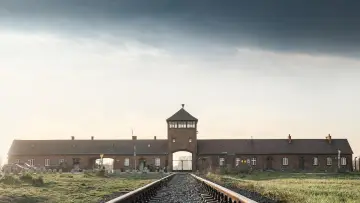 Задник к фильму "Auschwitz, la machine de mort nazie" #1147904