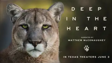 Задник к фильму "Deep in the Heart: A Texas Wildlife Story" #1040951