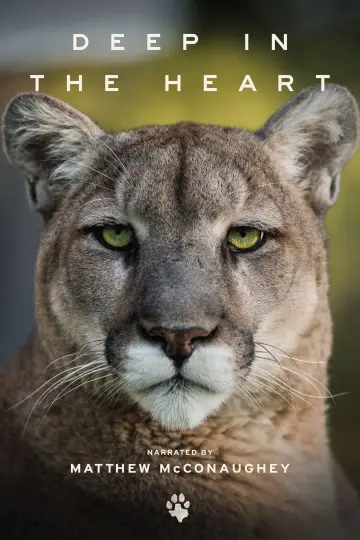 Постер к фильму "Deep in the Heart: A Texas Wildlife Story" #1040955