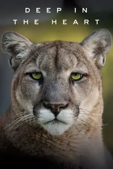 Постер к фильму "Deep in the Heart: A Texas Wildlife Story" #1040958