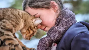 Задник к фильму "Мой котик и я" #385346