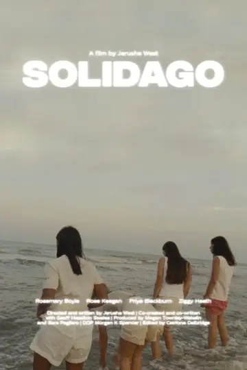 Solidago постер