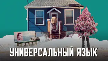 Задник к фильму "Универсальный язык" #654827