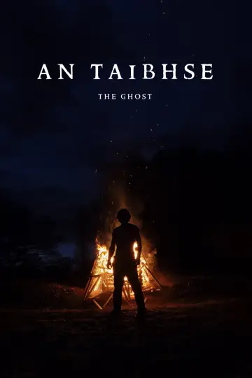 Постер к фильму "An Taibhse" #916919