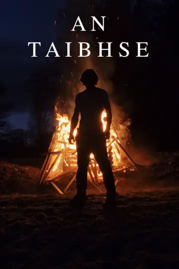 Постер к фильму "An Taibhse" #916921
