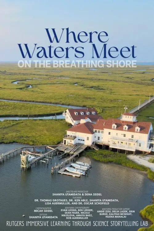 Постер к фильму "Where the Waters Meet on the Breathing Shore"