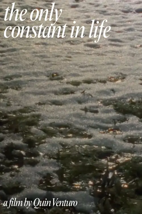 Постер к фильму "The Only Constant In Life"