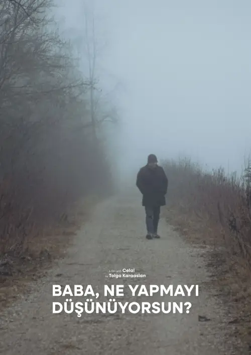 Постер к фильму "Baba, Ne Yapmayı Düşünüyorsun?"