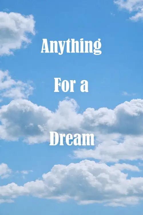 Постер к фильму "Anything For A Dream"