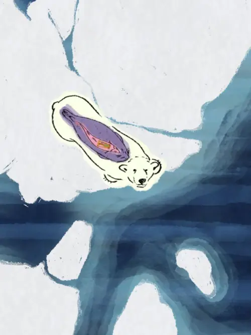 Постер к фильму "Arctic Shifts"
