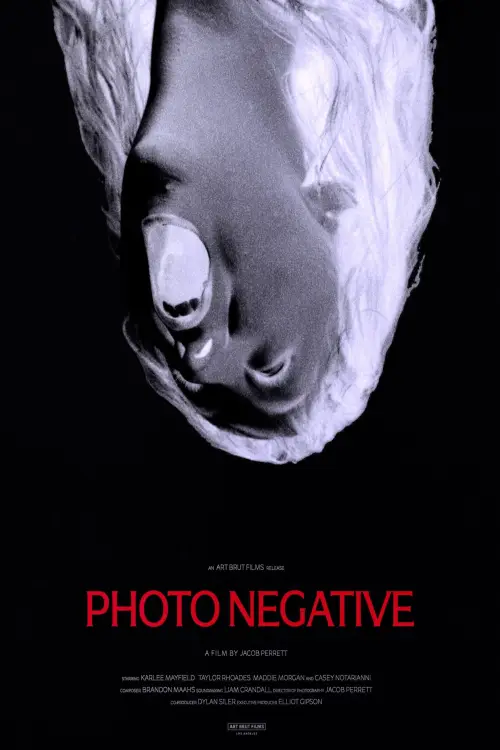Постер к фильму "Photo Negative"