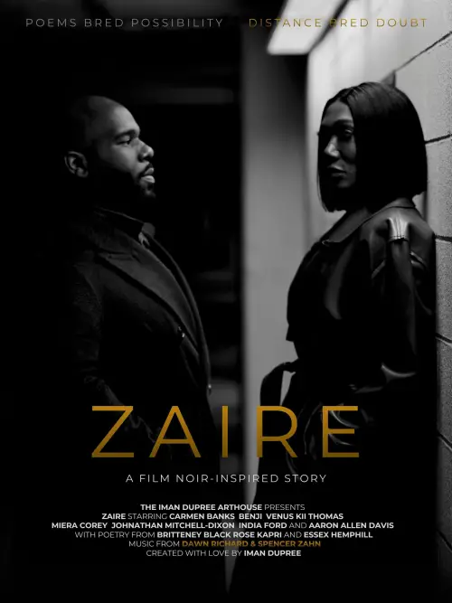Постер к фильму "ZAIRE"