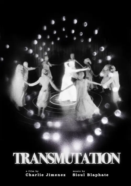 Постер к фильму "Transmutation"