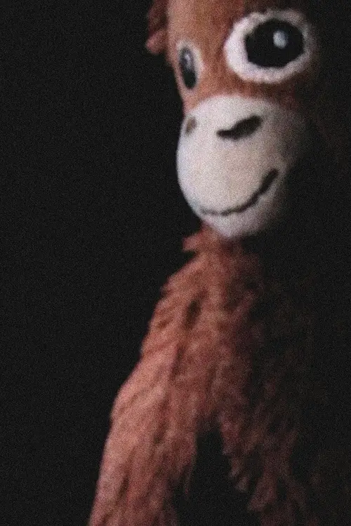 Постер к фильму "The Jay Monkey Project"