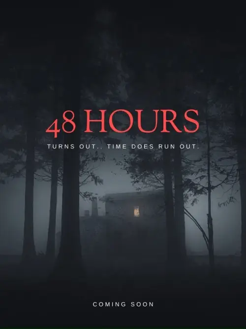 Постер к фильму "48 Hours"