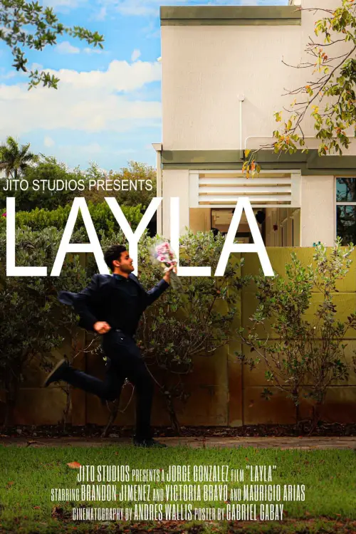 Постер к фильму "LAYLA"