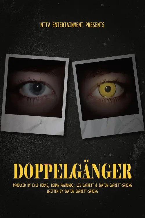 Постер к фильму "Doppelgänger"