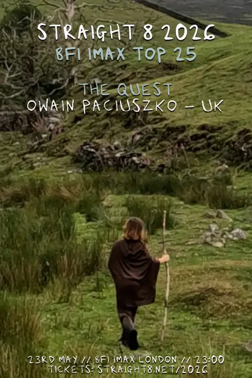 Постер к фильму "The Quest"