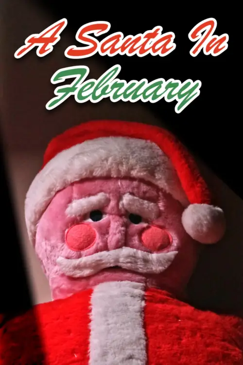Постер к фильму "A Santa in February"