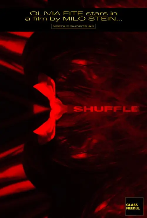 Постер к фильму "Shuffle"