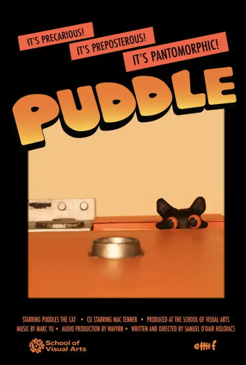 Постер к фильму "Puddle"