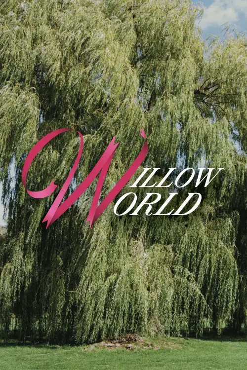 Постер к фильму "Willow World"