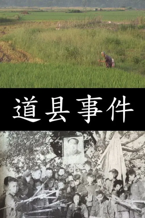 Постер к фильму "道县事件"