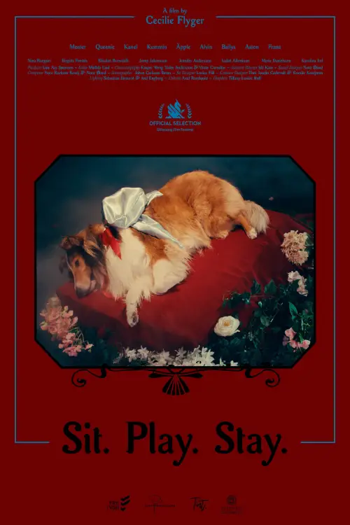 Постер к фильму "Sit. Play. Stay."