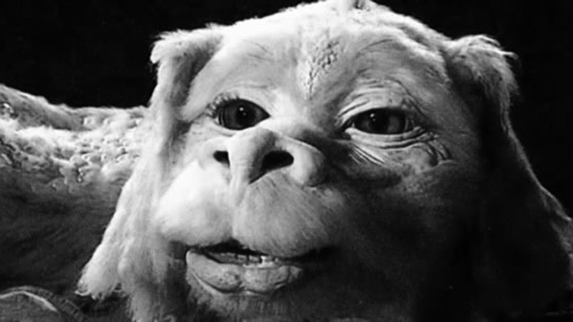 Видео к фильму Бесконечная история 3 | The Neverending Story III - Escape From Fantasia (1994) Trailer (VHS Capture)