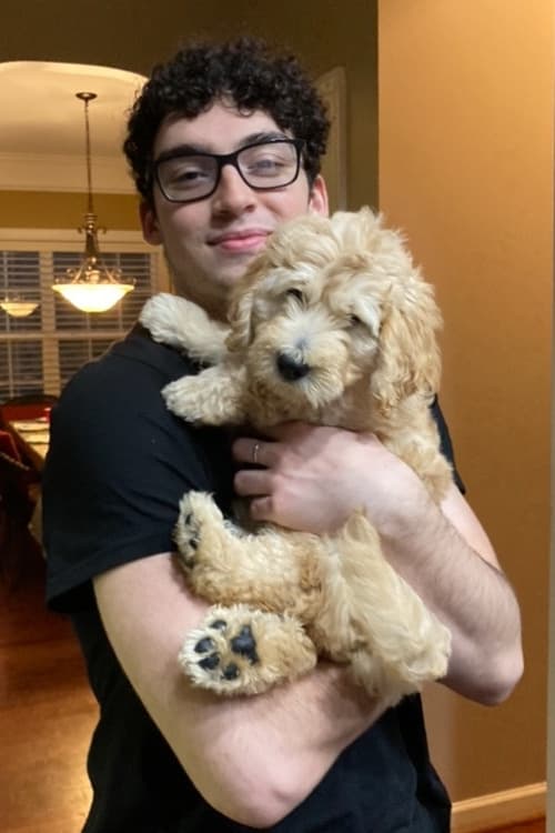 Фото Винсент Дормани (Vincent Dormani)