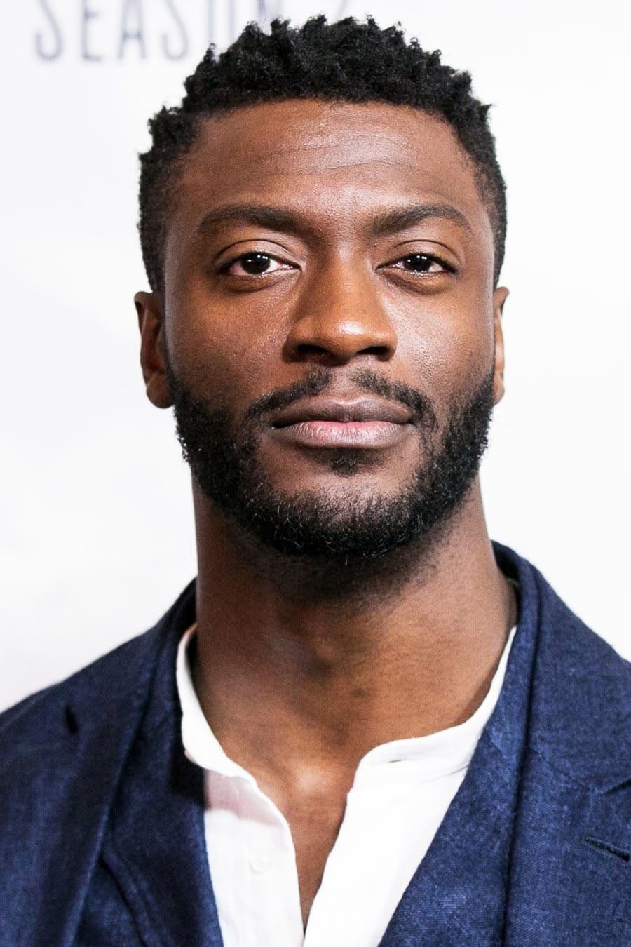 Фото Элдис Ходж (Aldis Hodge)