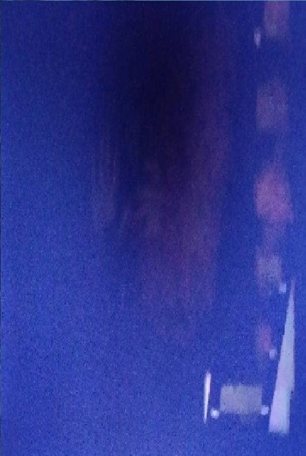 Фото К.С.Н (Kevin Casciani Nolan)