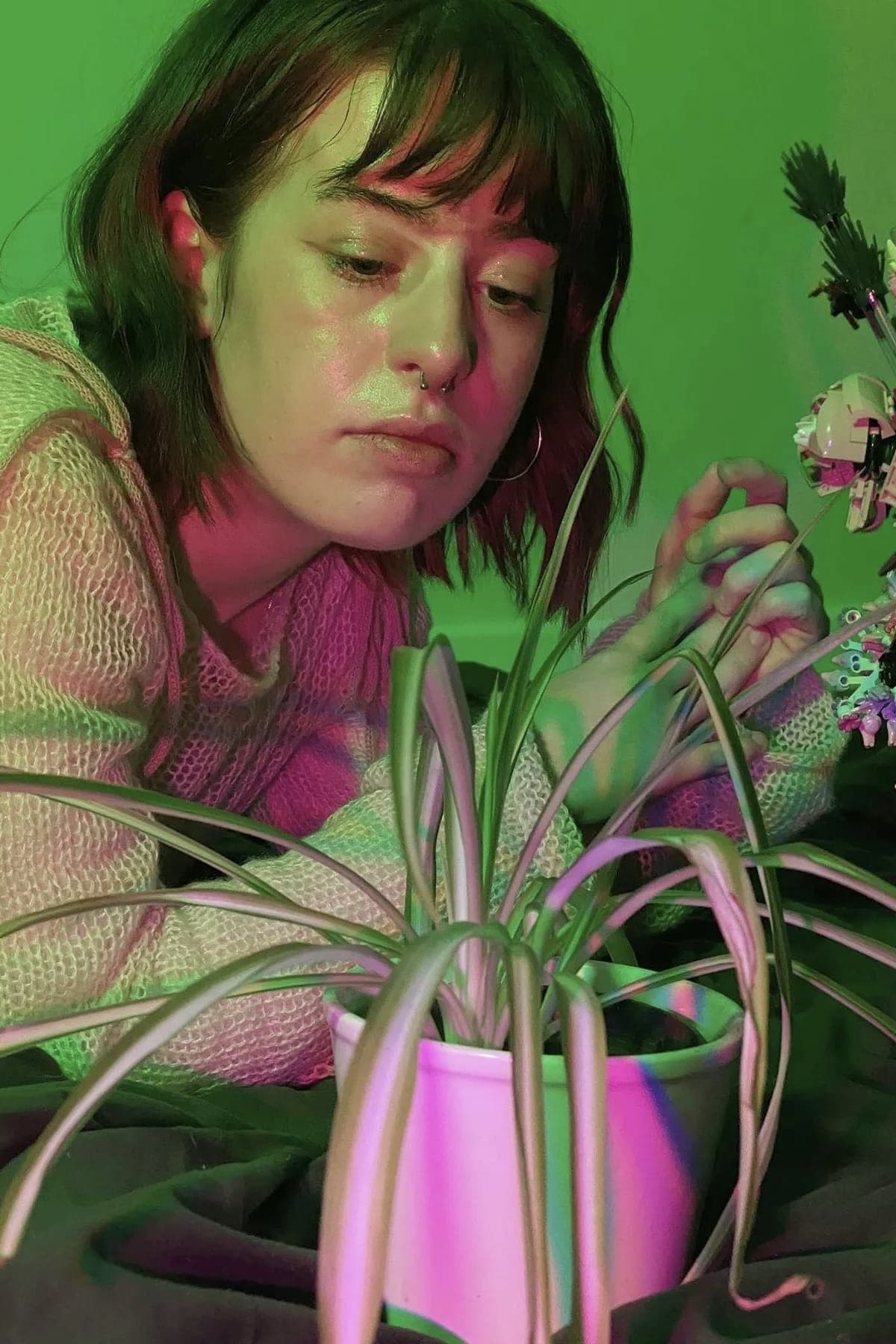 Фото  (Jess Garrard)