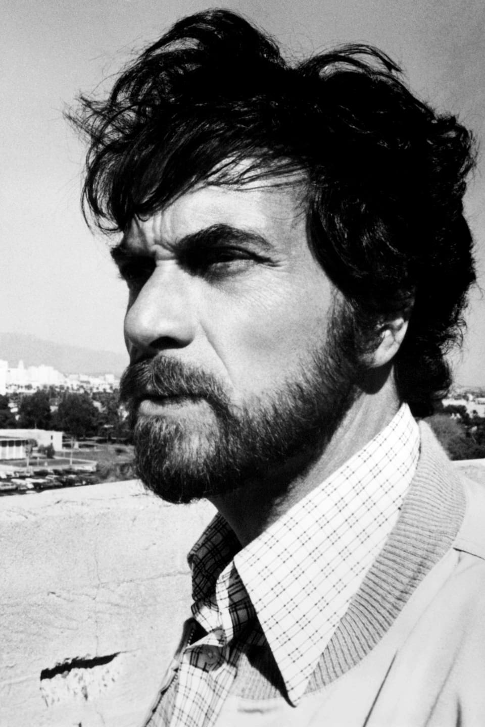 Фото  (Larry Peerce)