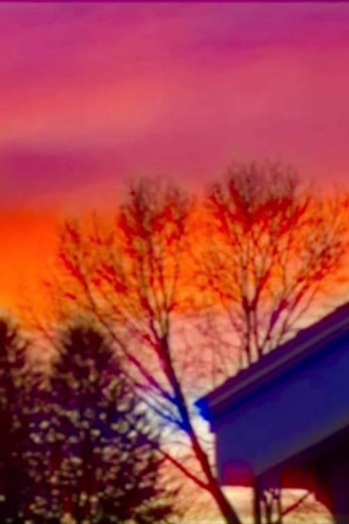 Фото  (The Sunset)