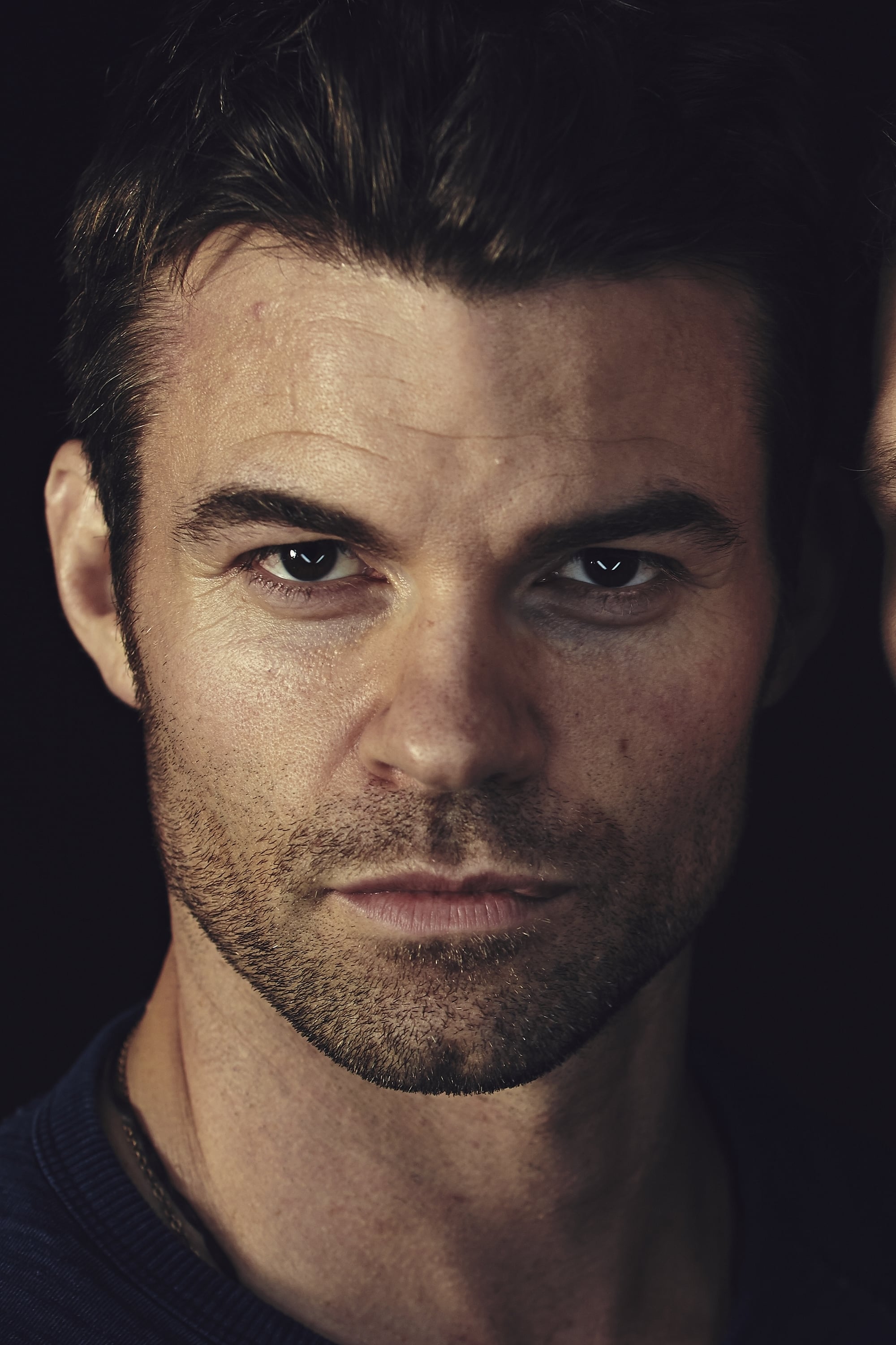 Фото Дэниел Гиллис (Daniel Gillies)