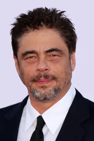 Фото Бенисио дель Торо (Benicio del Toro) #6488