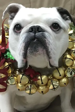 Фото Нелли #109790