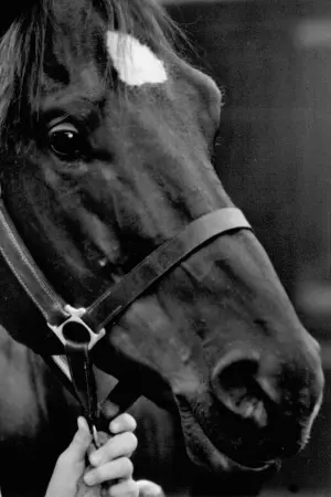 Фото  (Docs Keepin Time) #282508