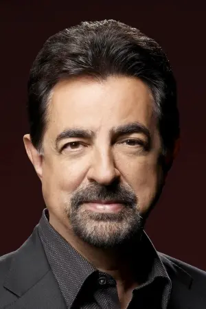 Фото Джо Мантенья (Joe Mantegna) #23285