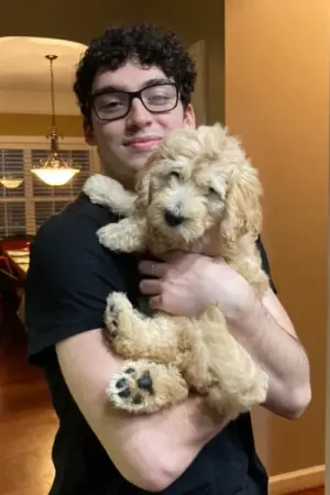 Фото Винсент Дормани #245791