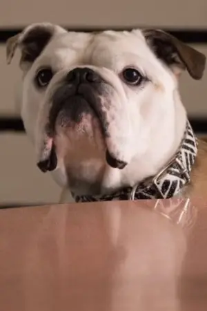 Фото Нелли #109791