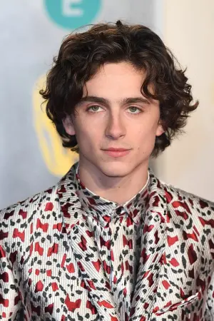 Фото Тимоти Шаламе (Timothée Chalamet) #1111
