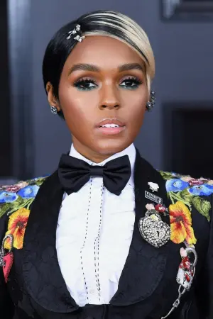 Фото Жанель Монэ (Janelle Monáe) #12914