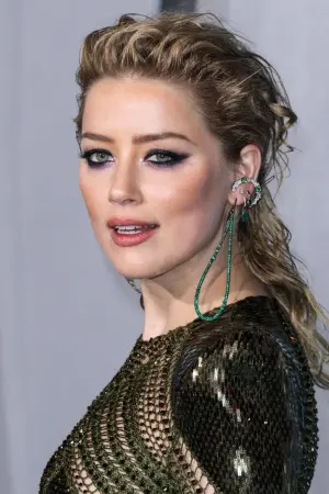 Фото Эмбер Хёрд (Amber Heard) #768