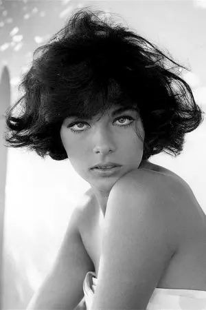 Фото Марилу Толо #109051