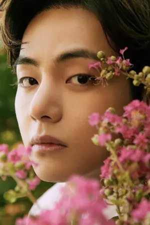 Фото Ким Тэ Хён (Kim Tae-hyung) #93410