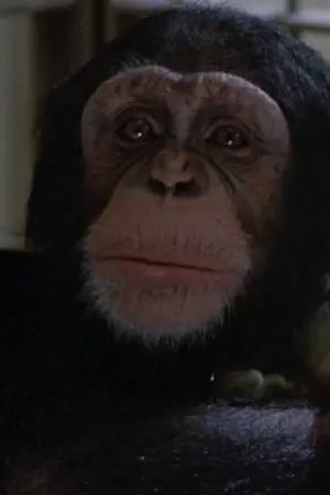 Фото Вилли #263660