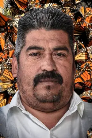 Фото  (Homero Gómez González) #320500